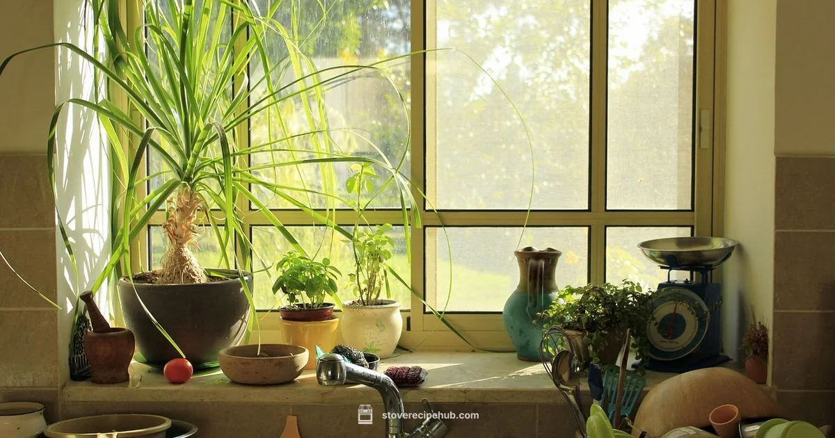 Stove Scrap Guide Stove Scrap Guide - Stove Recipe Hub