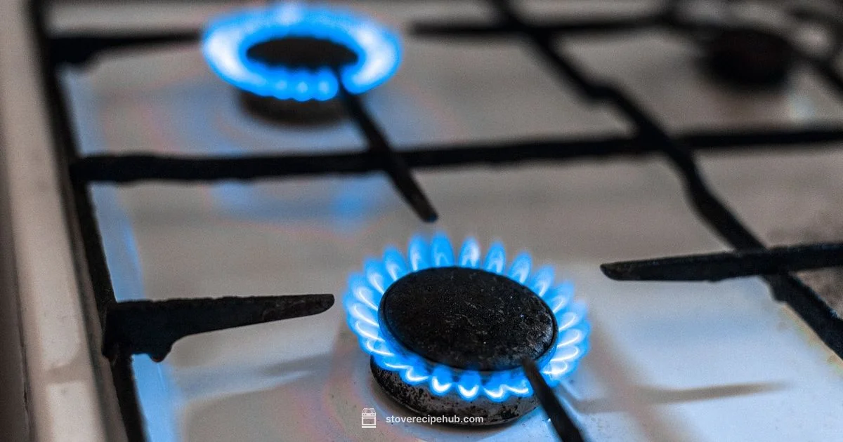 Best Gas Stoves - Stove Recipe Hub