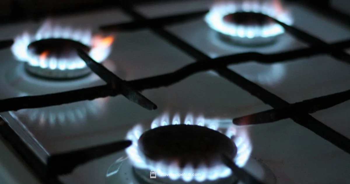 Gas vs Electric - Stove Recipe Hub