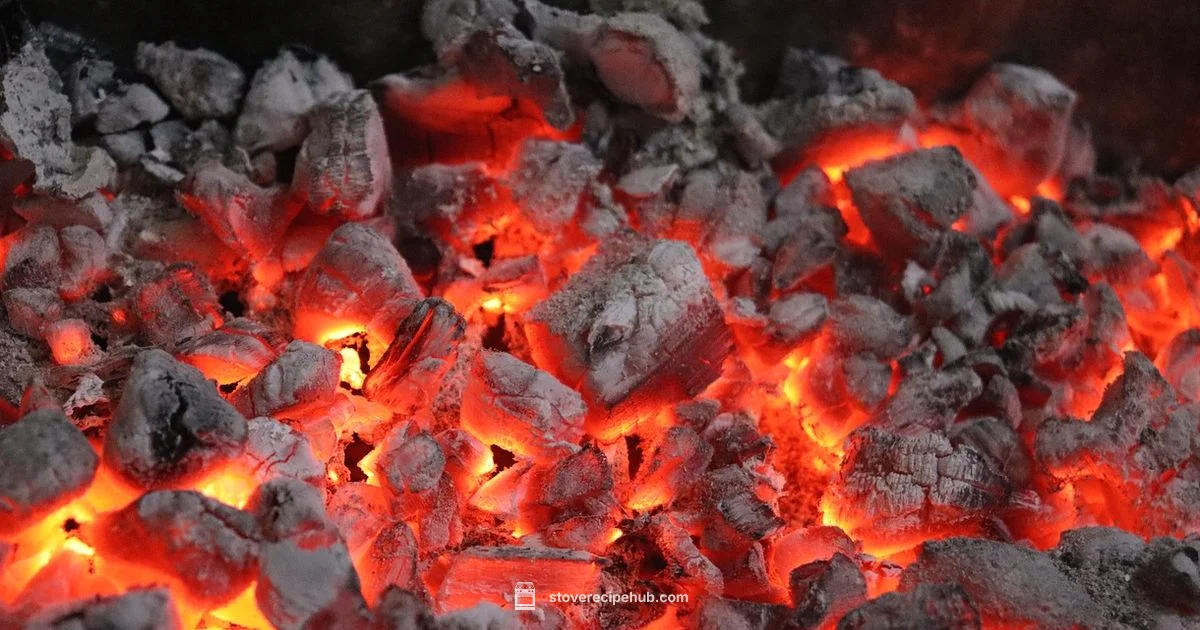 Coal in Wood Stove - Stove Recipe Hub