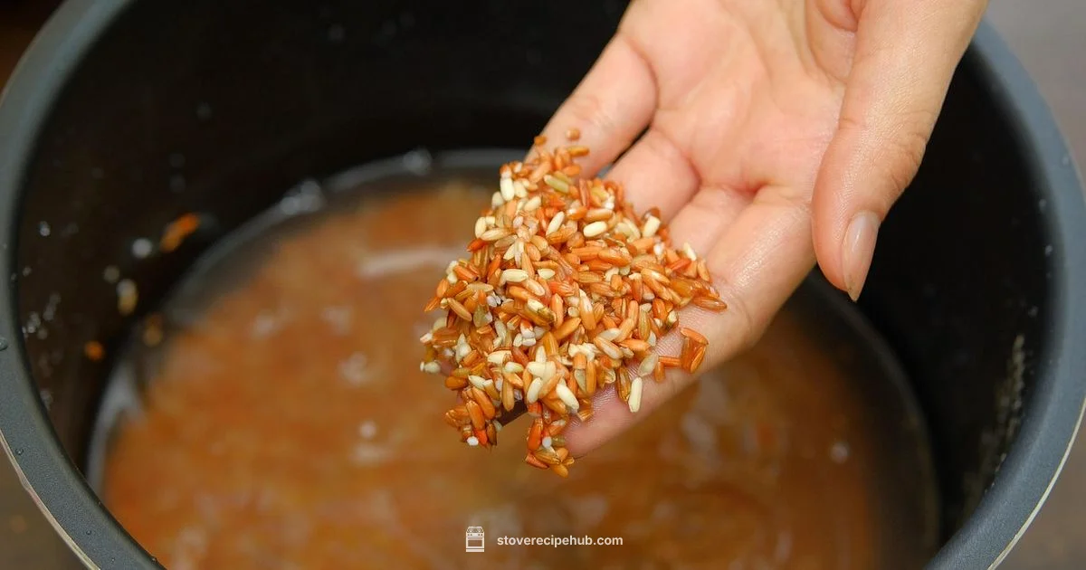Rice on Stove Rice on Stove - Stove Recipe Hub