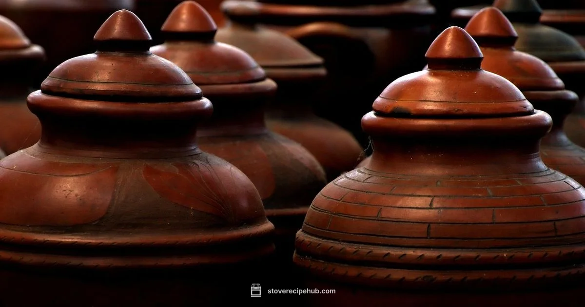 Earth Stove Guide - Stove Recipe Hub