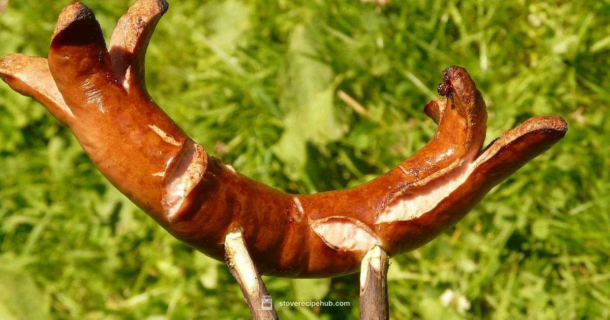 Sausages on Stove - Stove Recipe Hub