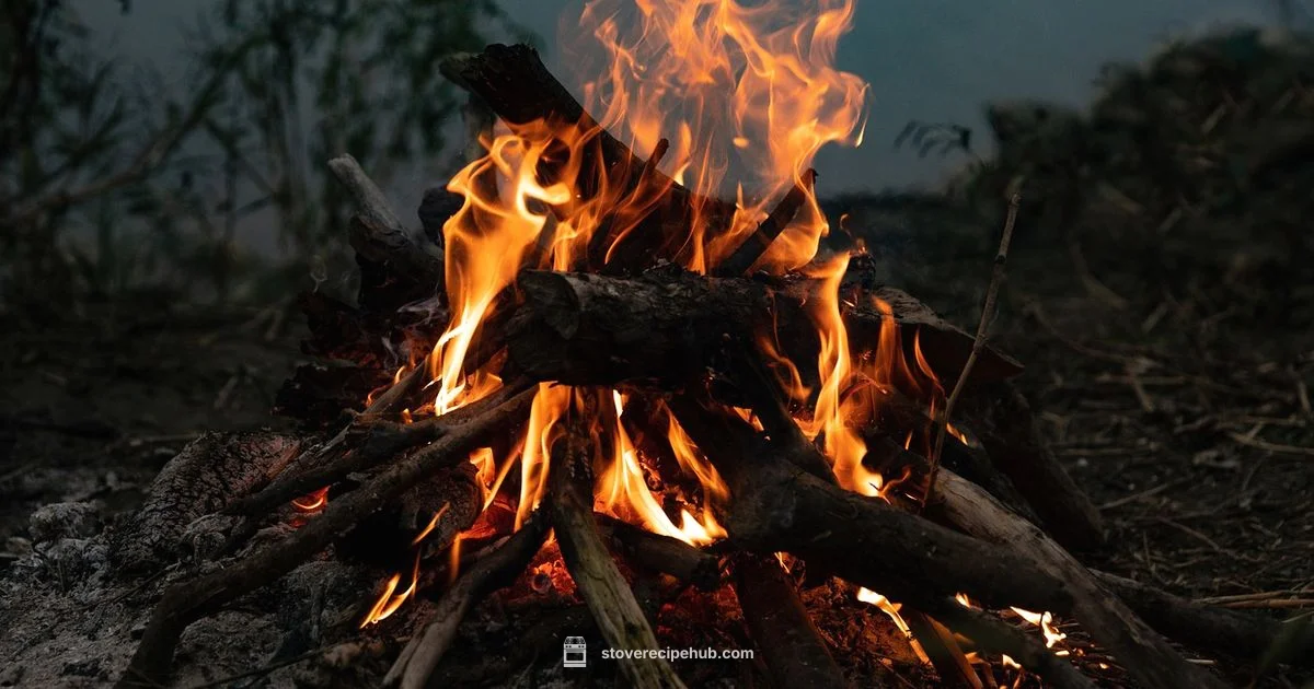 Wood Fuel Camp Stove Guide - Stove Recipe Hub