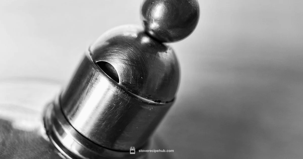 Induction Pan Guide - Stove Recipe Hub