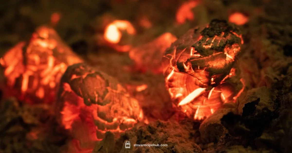 Stove Coal Guide - Stove Recipe Hub