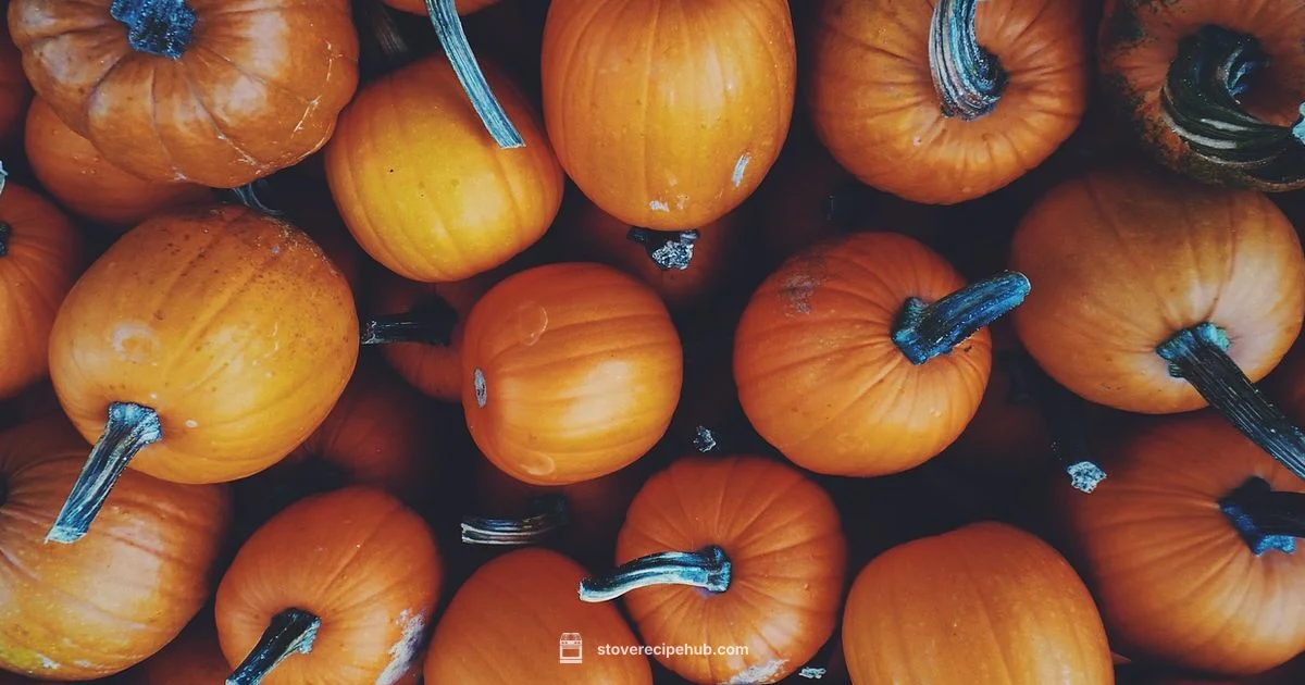 Stovetop Squash Guide - Stove Recipe Hub