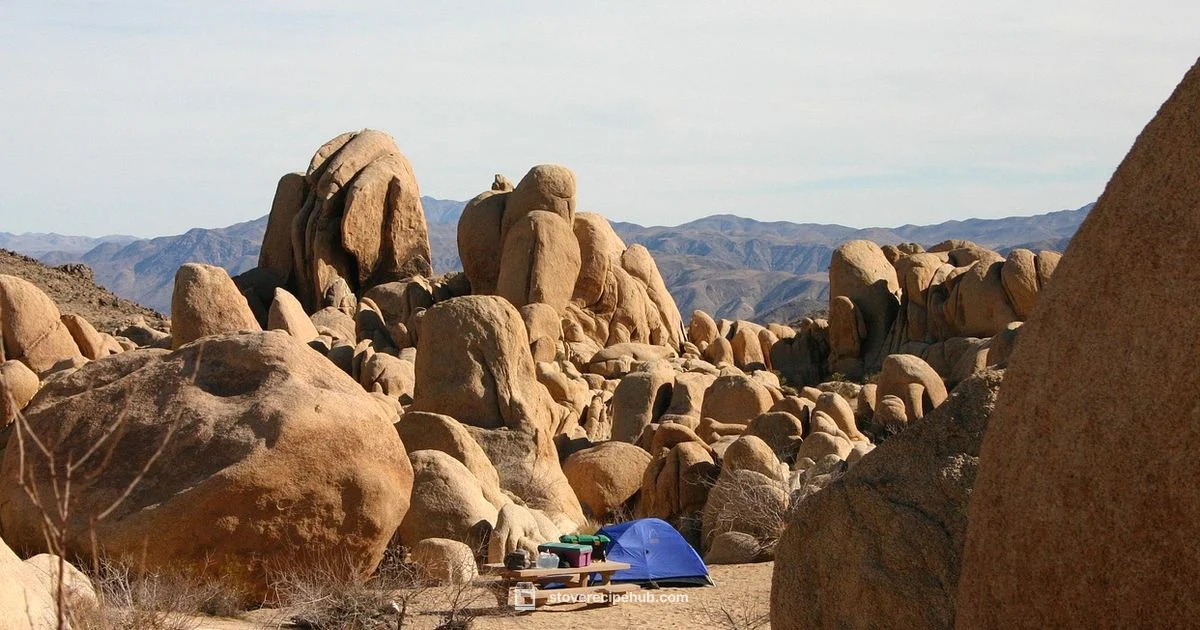 Camp Stove Essentials - Stove Recipe Hub