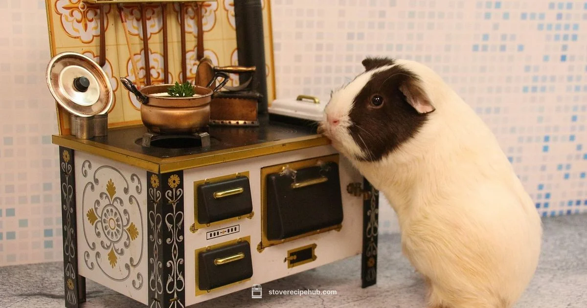 Freestanding Stove Guide - Stove Recipe Hub