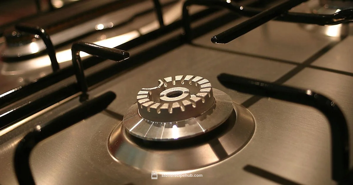 Gas Stove Health - Stove Recipe Hub