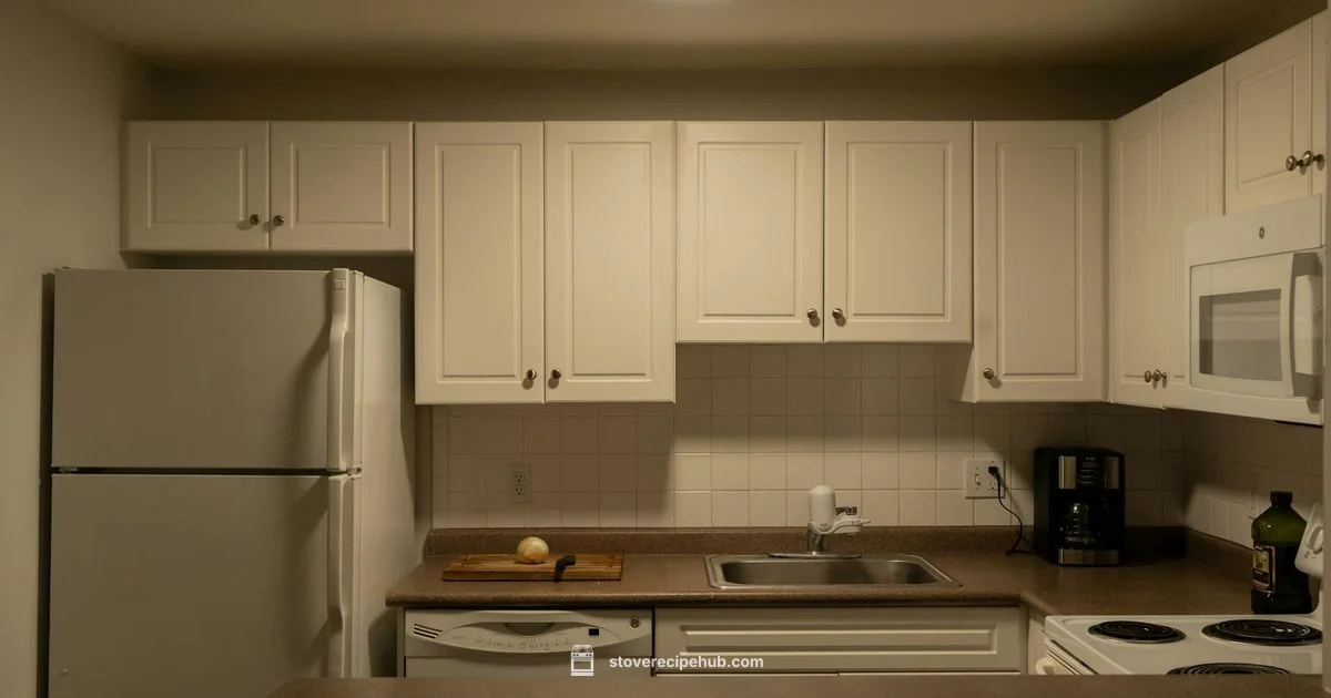 Two Burner Stovetop - Stove Recipe Hub