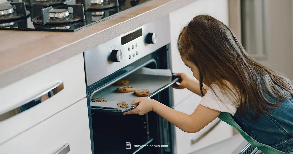 Gas Oven Pricing - Stove Recipe Hub