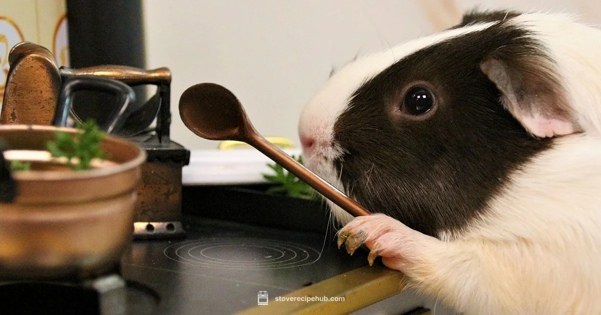 Stovetop Oven Interaction Stovetop Oven Interaction - Stove Recipe Hub