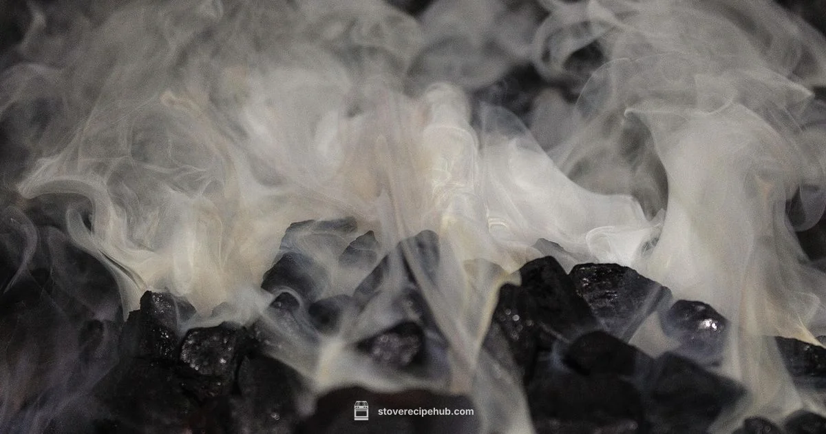 Coal Stove Guide - Stove Recipe Hub