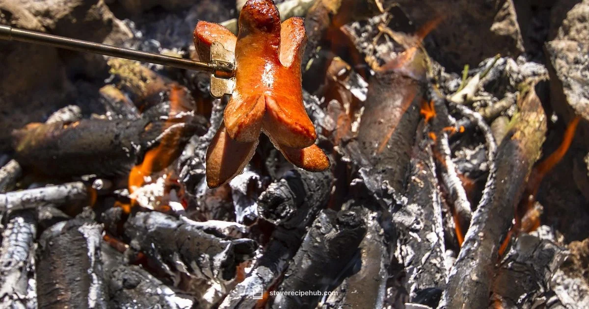 Sausage on Stove - Stove Recipe Hub