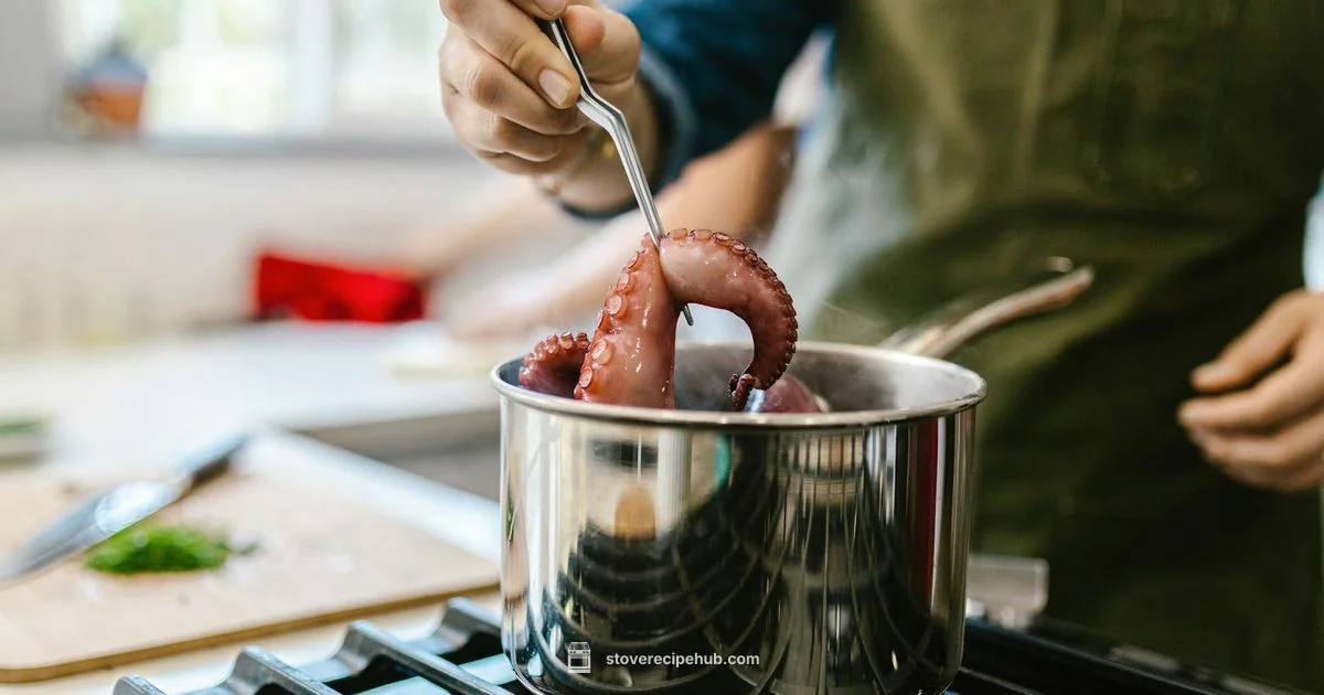 Gas Stove Install - Stove Recipe Hub
