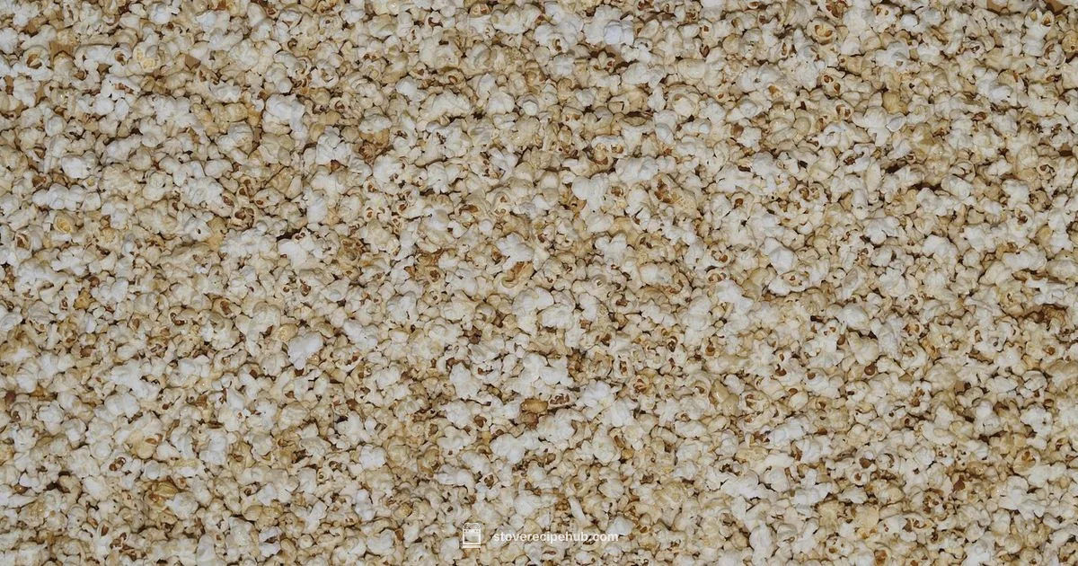 Oil-Free Popcorn - Stove Recipe Hub
