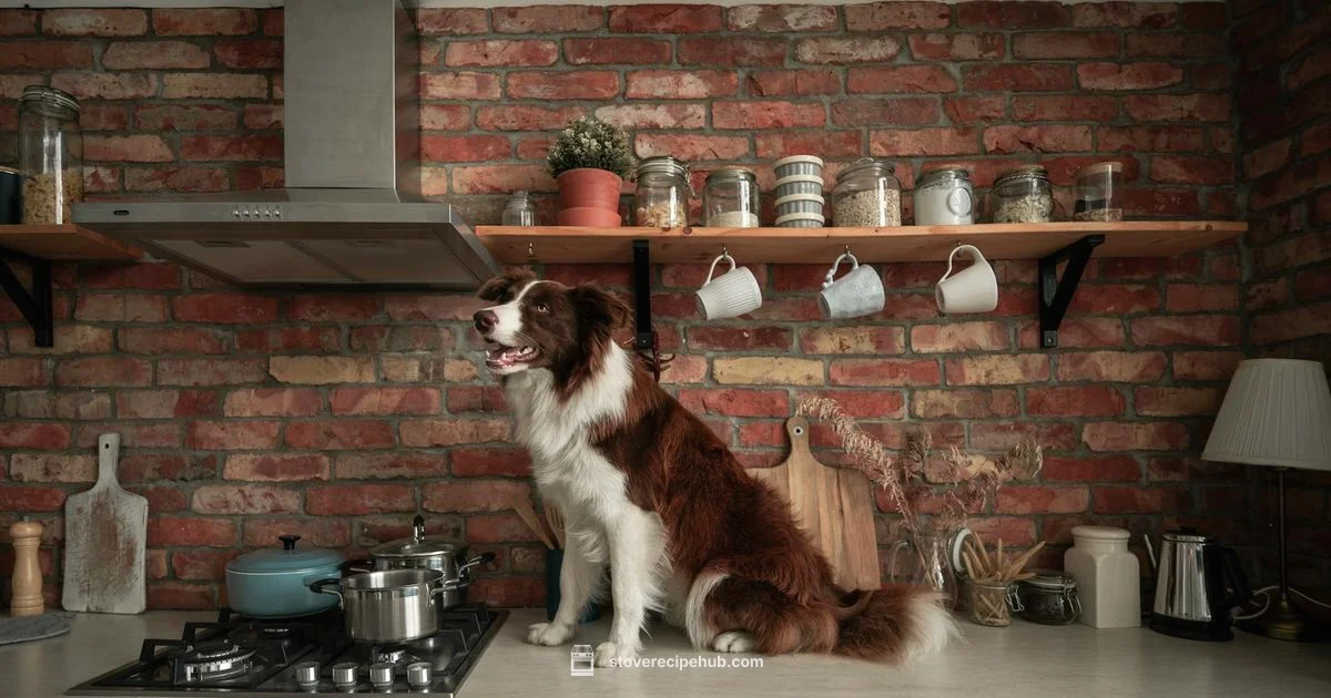Kenmore Parts Guide - Stove Recipe Hub