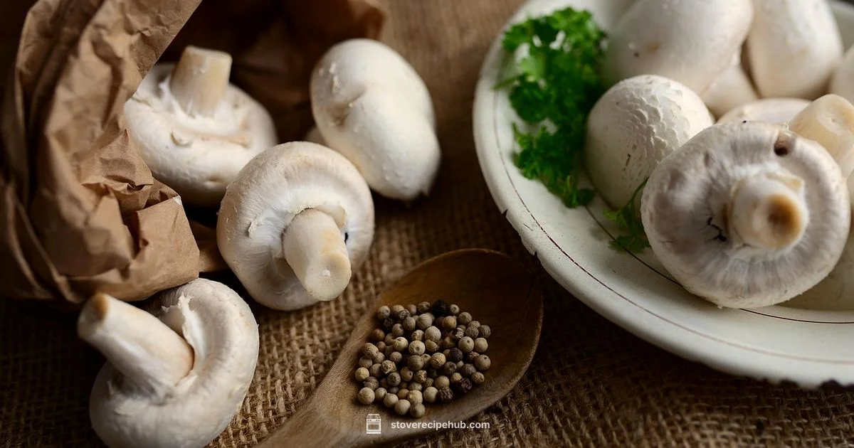 Stove Bed Guide - Stove Recipe Hub