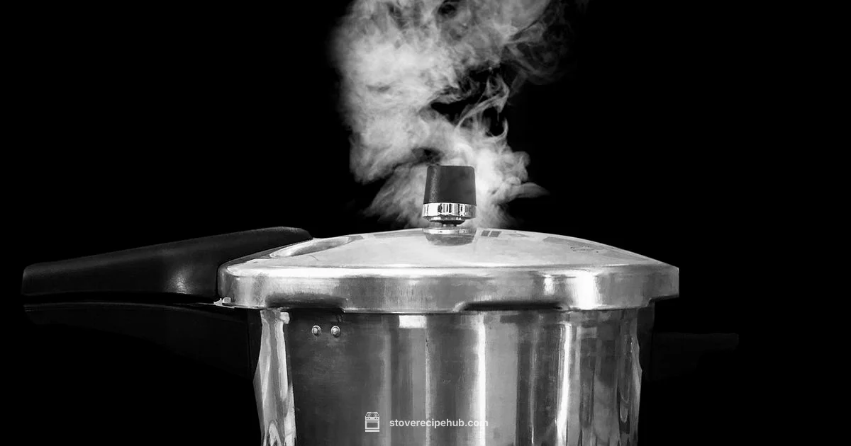 Stovetop Pressure Cooker - Stove Recipe Hub