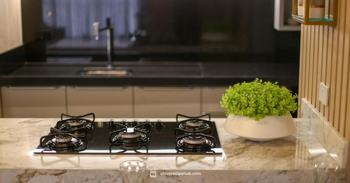 Gas Stove CO Risk Gas Stove CO Risk - Stove Recipe Hub