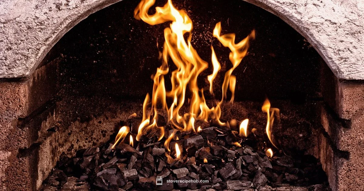 Oven vs Grill - Stove Recipe Hub