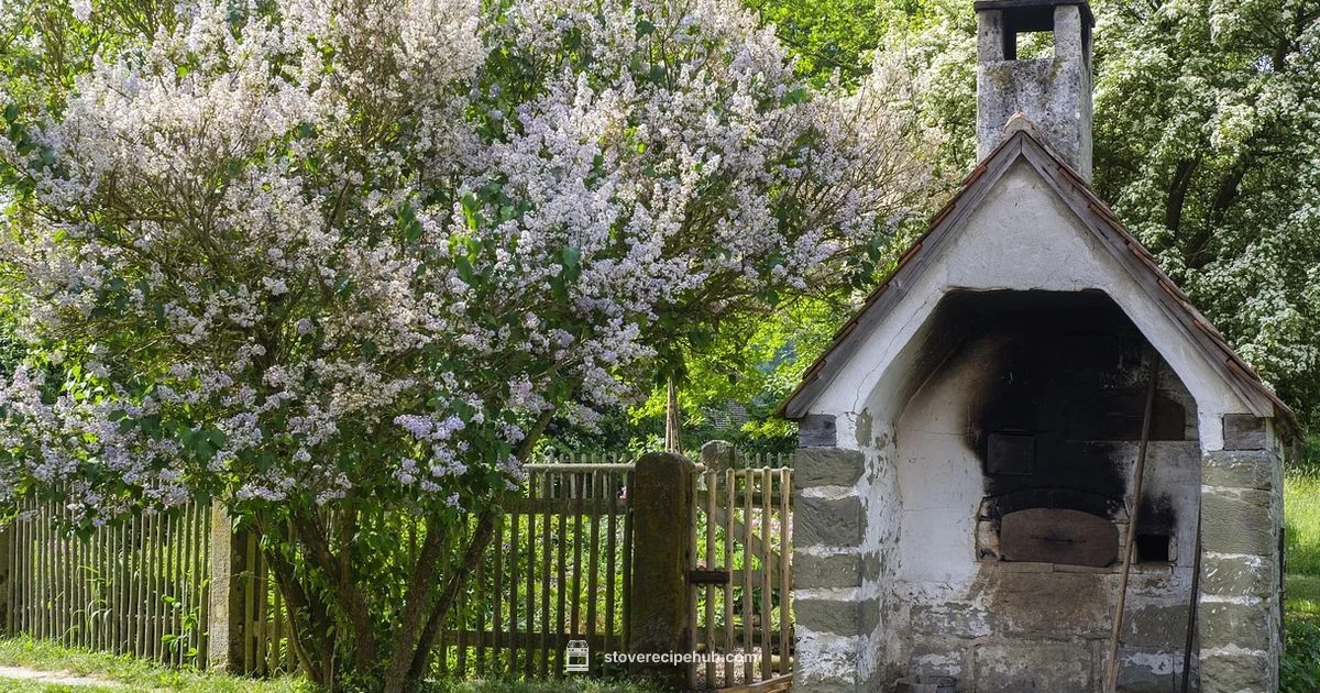 Preheat Basics for Accuracy Preheat Basics for Accuracy - Stove Recipe Hub