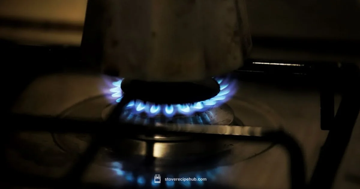 Ignition Fix Guide - Stove Recipe Hub