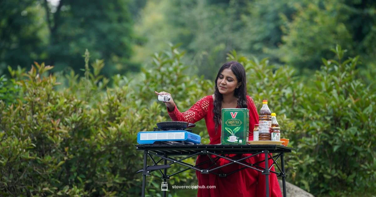 Portable Gas Stove Guide - Stove Recipe Hub