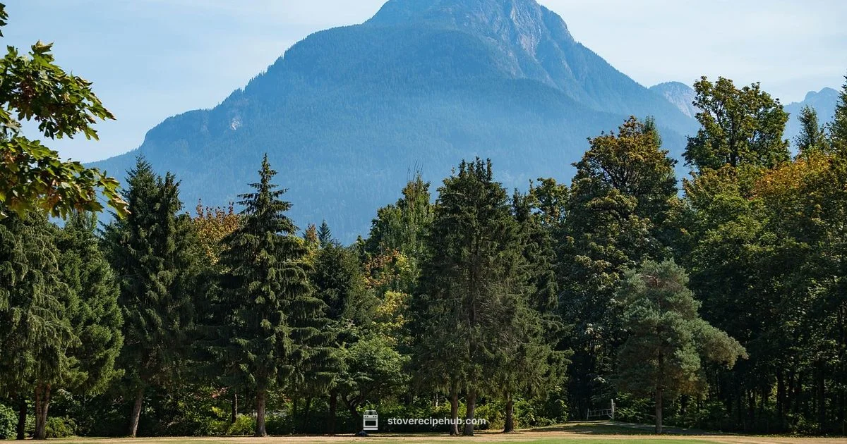 Best Backpacking Stove - Stove Recipe Hub