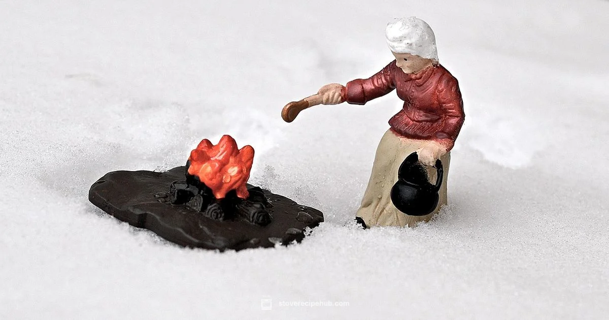 Outdoor Camp Stove Tips - Stove Recipe Hub