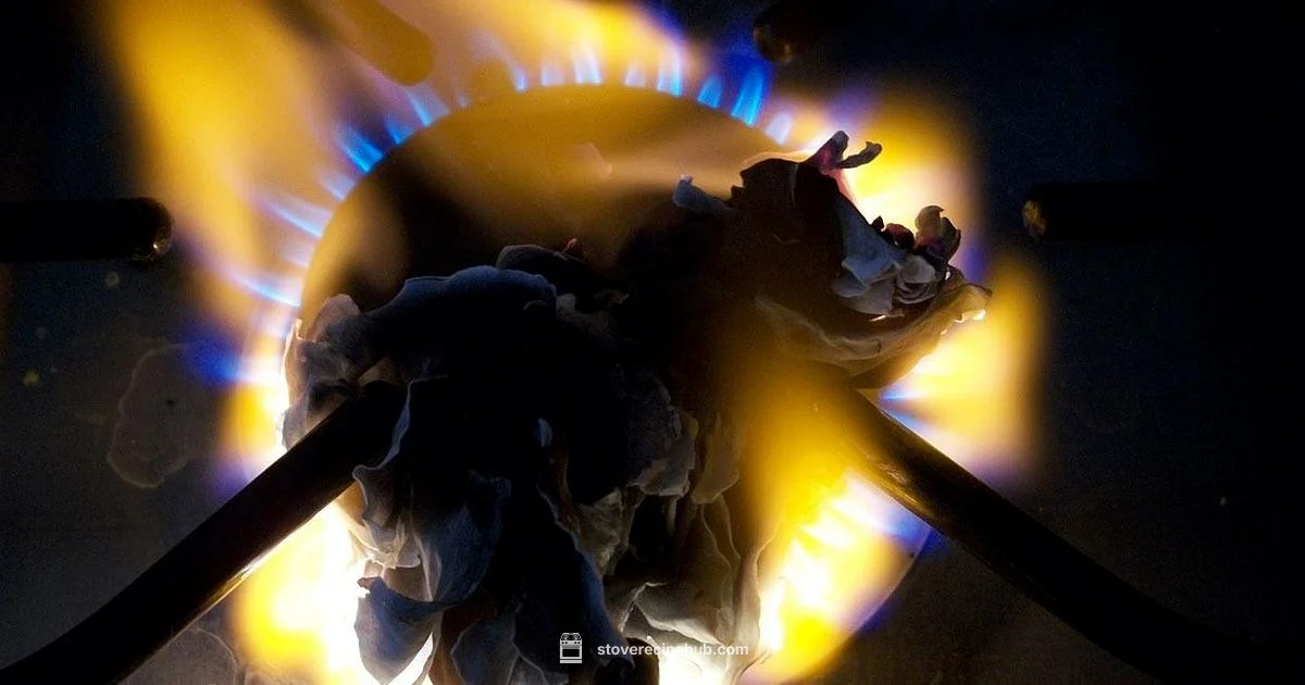 Stove Burner Cleaning - Stove Recipe Hub