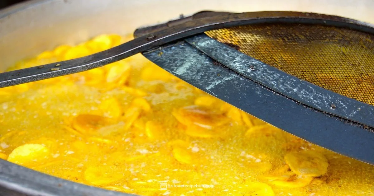 Deep Fryer Stove Guide - Stove Recipe Hub