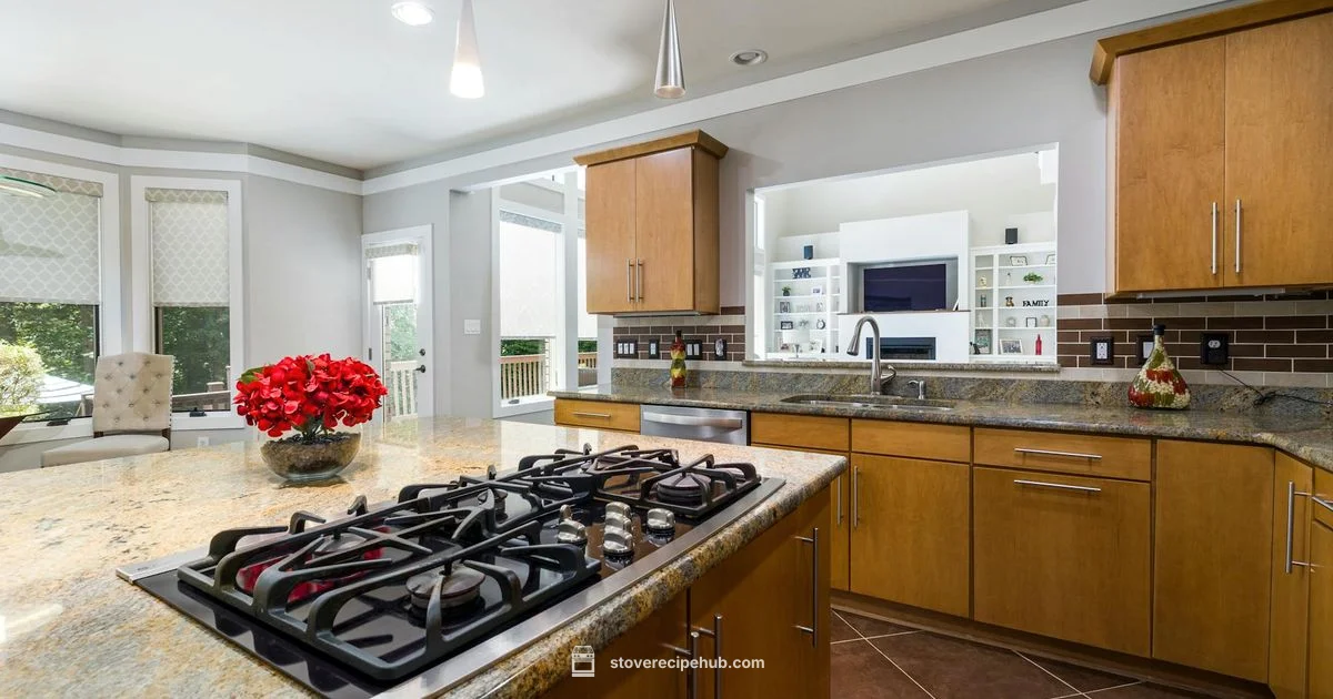 Best Buy Gas Stove - Stove Recipe Hub