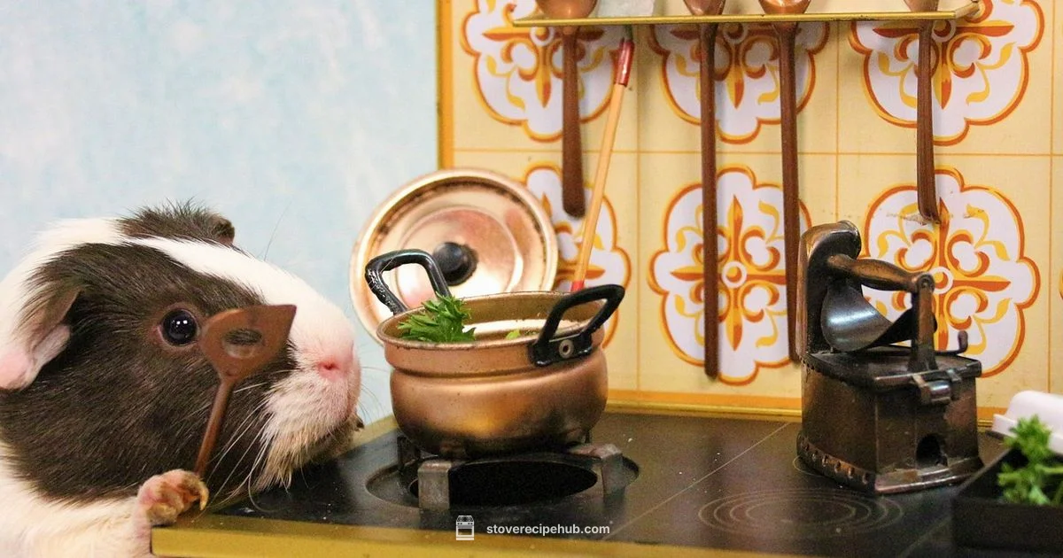 Electric Stove with Oven - Stove Recipe Hub