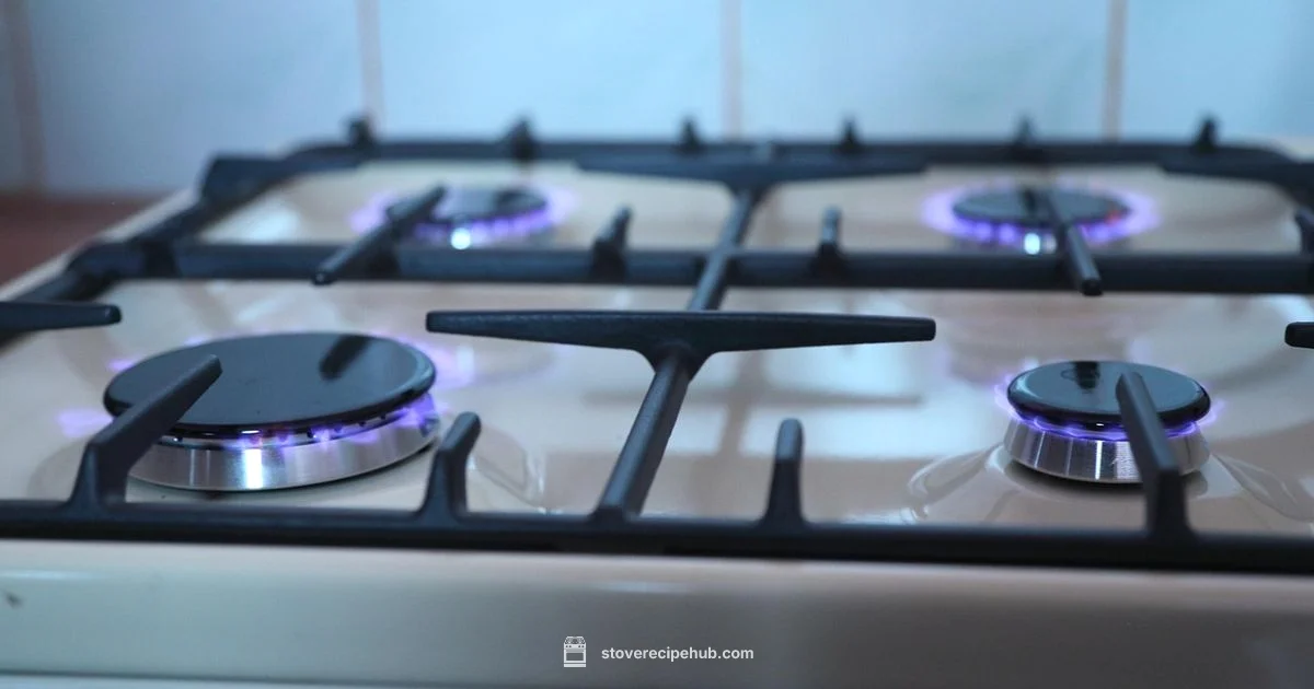 Gas Stove Spark Gas Stove Spark - Stove Recipe Hub