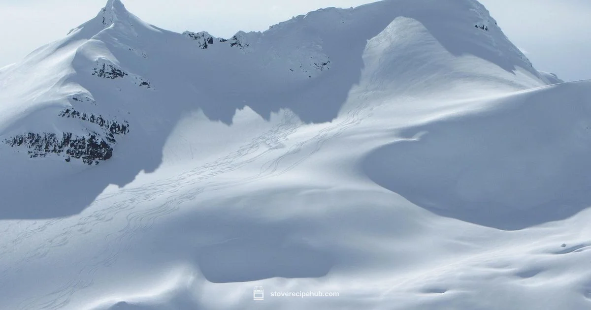 Yukon Stove Guide - Stove Recipe Hub