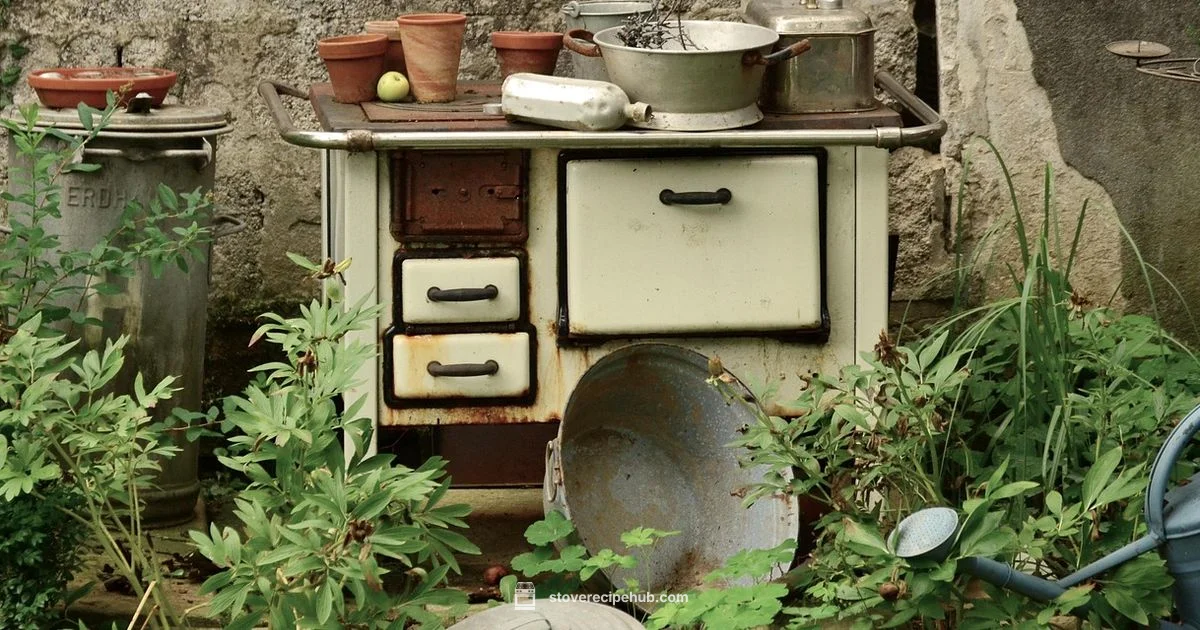 Old Stove Seattle - Stove Recipe Hub