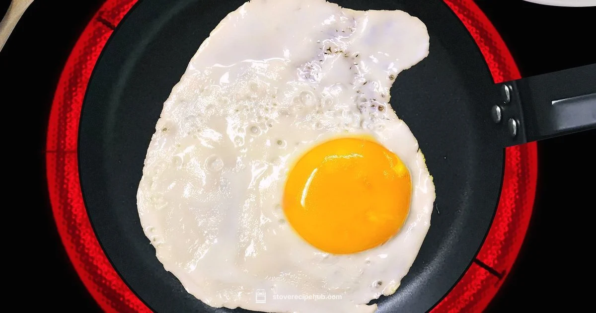 Induction vs Radiant - Stove Recipe Hub