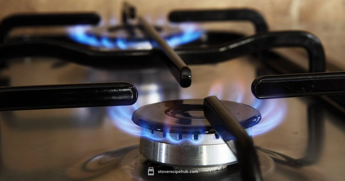 Stove Ignition Guide Stove Ignition Guide - Stove Recipe Hub