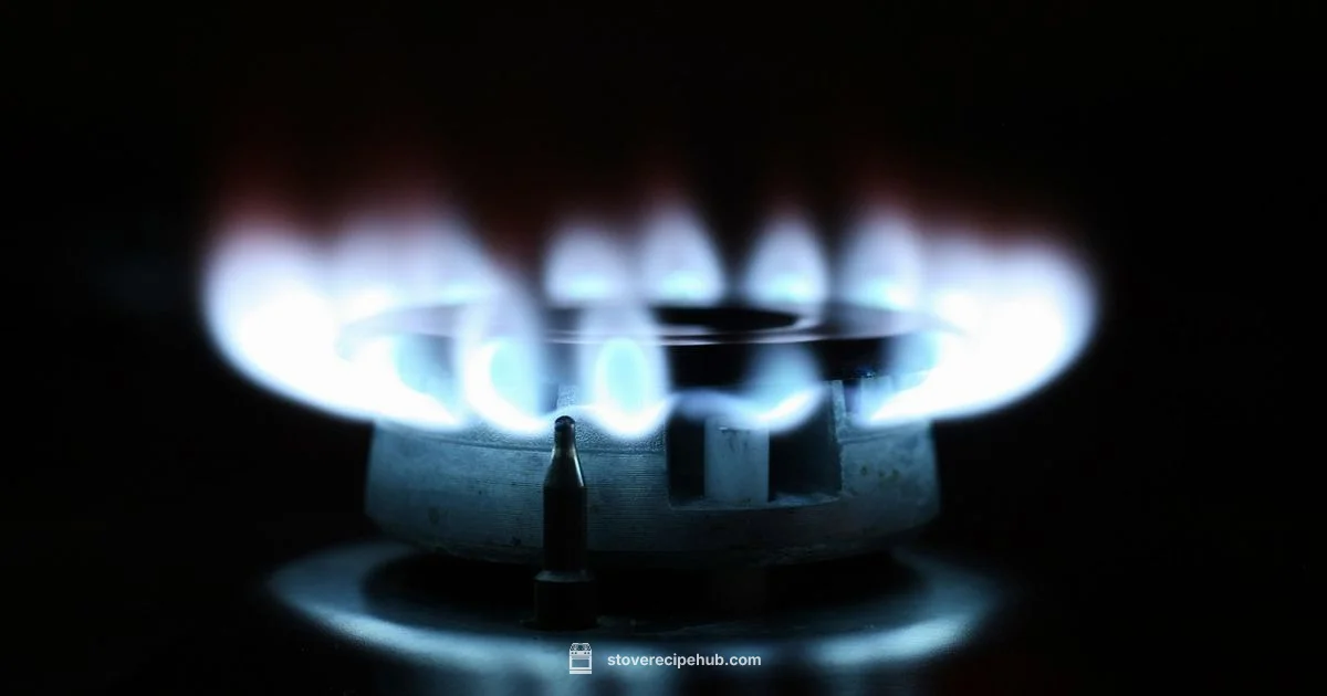 Gas Leak Safety Gas Leak Safety - Stove Recipe Hub